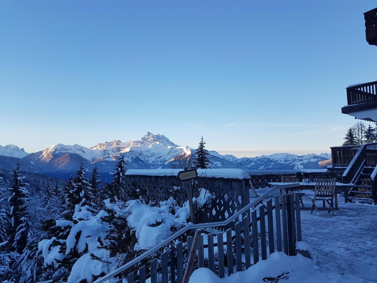 Domaine De La Croix De Javernaz Вилларс-Сур-Оллон Экстерьер фото